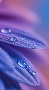 Close-up of a water droplet resting on a purple flower petal with a soft blurred background. A macro nature shot creating vertical abstract backdrop for beauty, spa, and spring themes with copy space photo