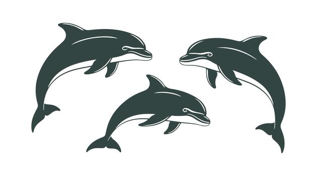 Joyful dolphins in an array of colors and silhouettes, set apart on a white background. illustration vector