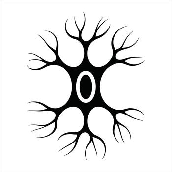 Black neuron cell body with dendrites and nucleus on white background simple graphic nerve cell brain vector