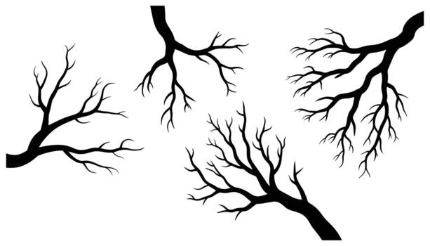 Black bare tree branches silhouette against a white background scattered across the frame bare branches vector