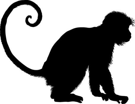 black silhouette of monkey without background vector