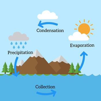 Flat illustration of the water cycle showing evaporation, condensation, precipitation, and collection. Simple educational diagram for school, science, and environment topics vector
