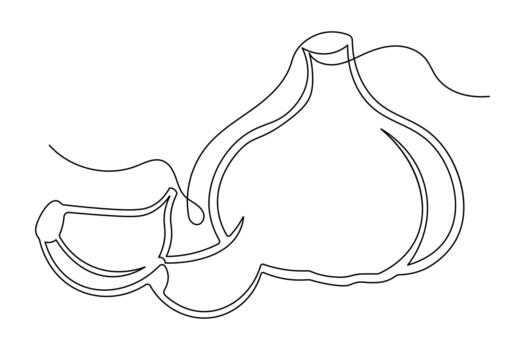 Continuous one line garlic outline in clean minimal design vector