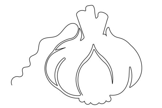 Minimalist garlic drawing in isolated continuous line style vector