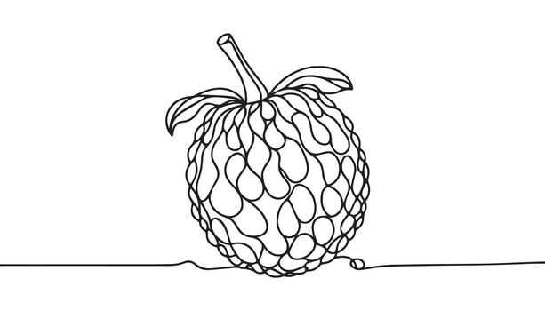 continuous line drawing of a single fruit vector