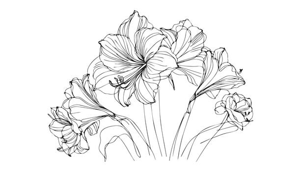 a continuous drawing of flowers on a white background vector