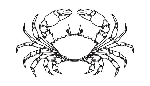a continuous drawing of a crab on a white background vector
