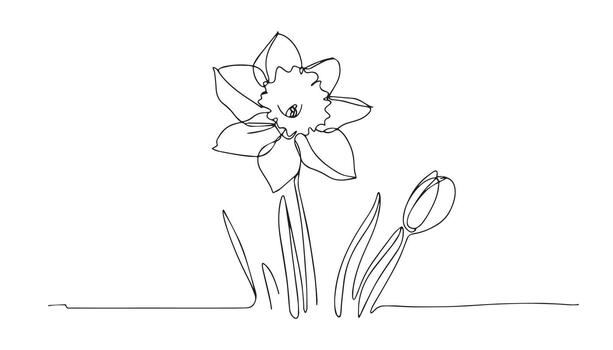 a continuous line drawing of a daffodil flower vector