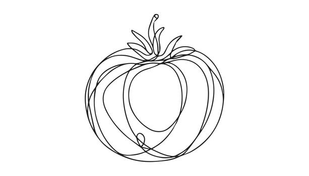 a continuous line drawing of tomato on white background vector