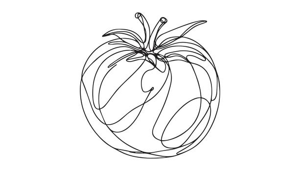a continuous line art drawing of tomato on white background vector