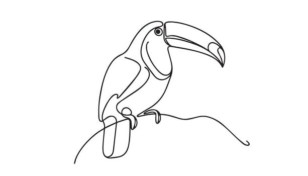toucan bird on branch, continuous line drawing vector