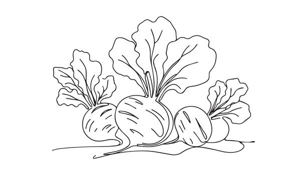 a continuous drawing of beetroot on a white background vector