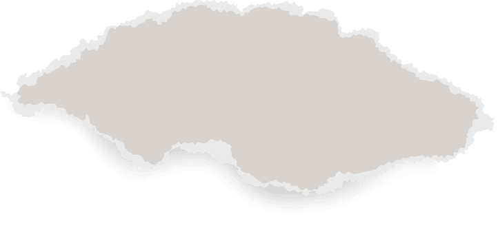 rev papper med trasig kanter. bit av rivna ark för ram och mall design. texturerad Skära ut form för collage och baner. grov rand för scrapbooking. png