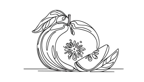 a continuous of a peach with leaves on it vector