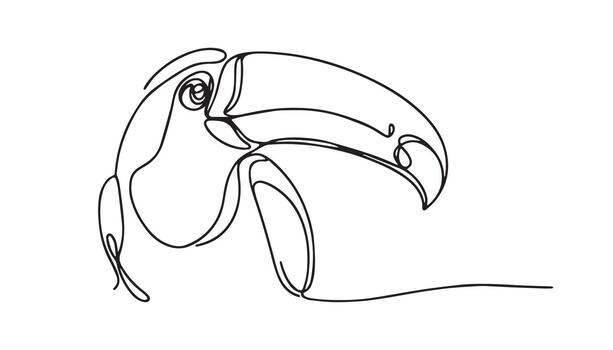 continuous line art of toucan bird vector