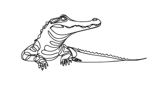 a continuous drawing of an alligator on a white background vector