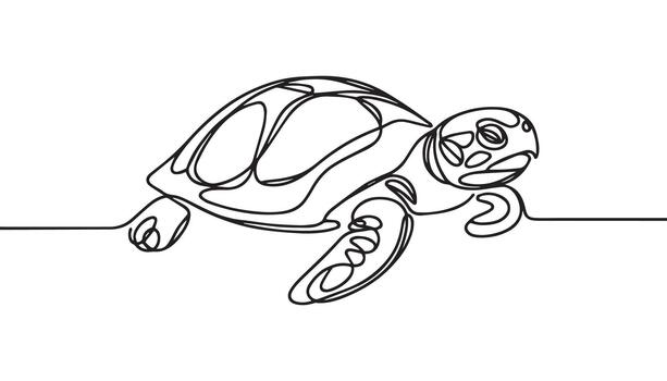 a turtle is drawn in one continuous line vector