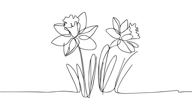 continuous line drawing of daffodils vector