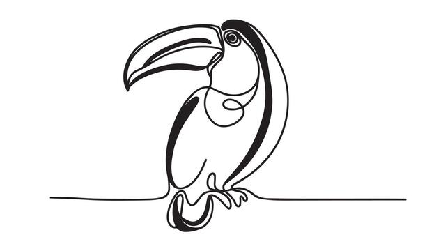 toucan bird on a branch, line drawing vector