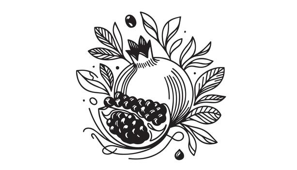a continuous line art of a pomegranate vector