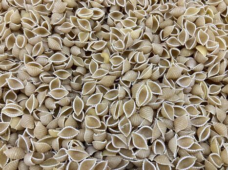 detailed macaroni shells or conchiglie pasta, full frame raw and dry, in a supermarket display case for sale photo