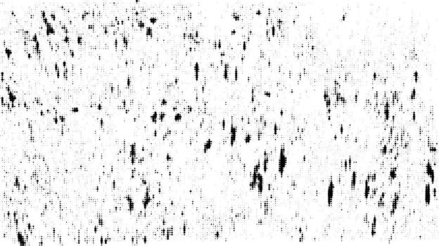 Dotted Halftone Background Retro Textured Pattern Design vector