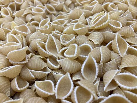 detailed macaroni shells or conchiglie pasta, full frame raw and dry, in a supermarket display case photo