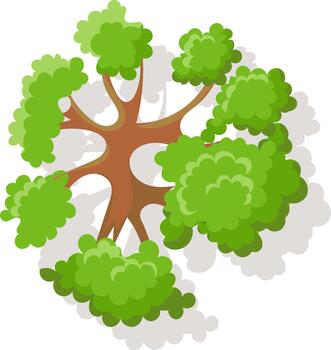 Green tree top view creating a landscape element vector