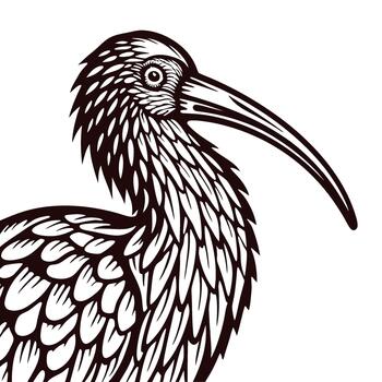 detallado mano dibujado ilustración de un zarapito pájaro con intrincado pluma patrones y largo curvo pico vector