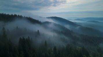 Misty mountain ranges rolling into the distance with dramatic shifting fog and towering pine trees, creating a moody atmospheric landscape filled with depth, serenity, and natural beauty video