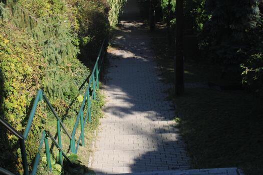 A path with a fence photo