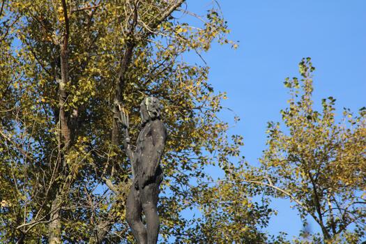 A statue of a man standing in front of a tree photo