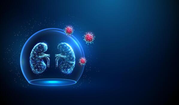 Kidneys and viruses in a protective sphere vector