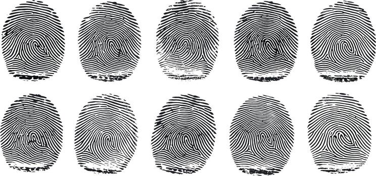 Array of distinct biometric fingerprints showcasing unique human identification patterns for security and digital access vector