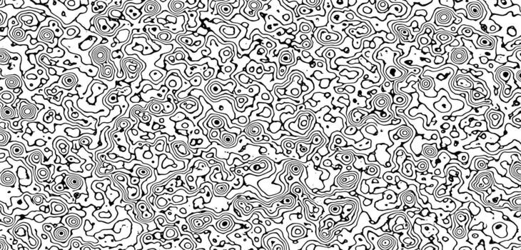 resumen negro y blanco topográfico mapa modelo con orgánico líneas y formas vector