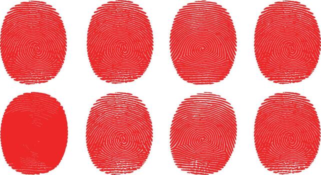 Abstract red fingerprint patterns on white background, close-up view, for design vector