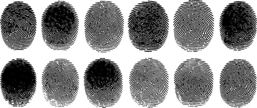 Fingerprint Analysis Detailed Close-up of Various Fingerprint Patterns and Textures vector