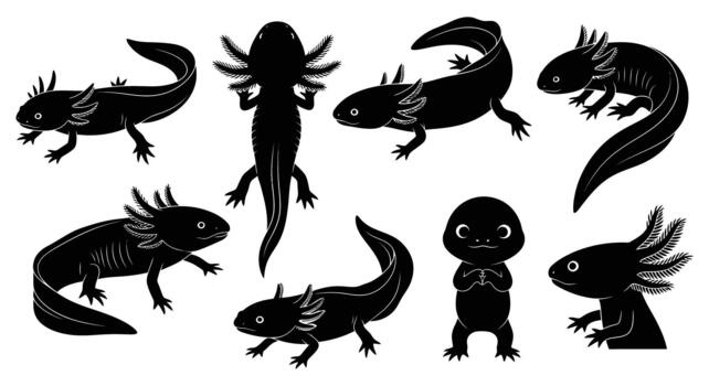 Collection of axolotl silhouettes isolated on white background in various poses and expressions for design projects vector