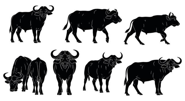 Silhouette of african buffalo in various poses isolated on white background, showcasing its powerful build and distinctive horns vector