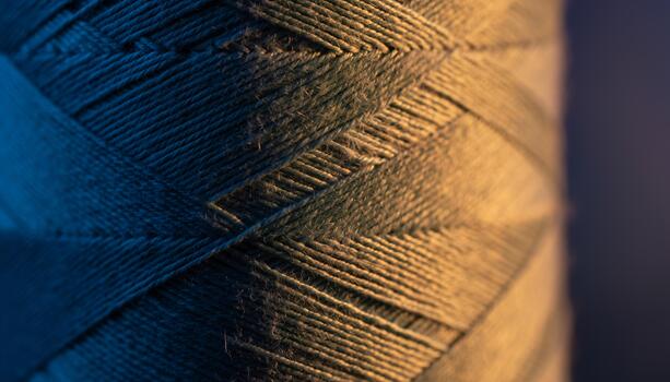 Close-up of Brown and Blue Thread Spool Showing Detailed Textures and Fine Craftsmanship photo