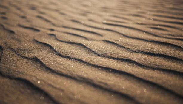 Close Up of Sand Dunes in Warm Sunset Light with Textured Ripples and Sparkling Particles photo