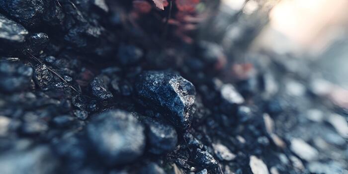 A close up reveals wet dark gray pebbles and small rocks on the ground with blurred foliage photo