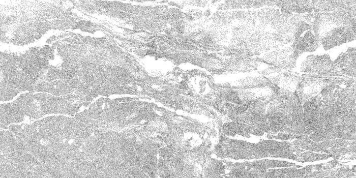 Grunge marble pattern with gritty white and gray texture overlay. Subtle stipple shading, rough mineral detail. Abstract stone background for bold modern design. vector