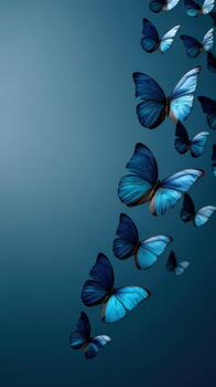 Colorful butterflies in motion against a smooth blue background photo