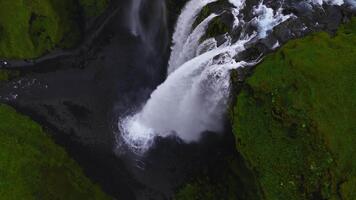 antenn topp ner se visar Seljalandsfoss på island söder kust, strömmar Ansluta sig och doppa in i en cirkulär slå samman, dimma fläktar ut, mycket liten människor på väg, mjuk dagsljus video