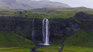 aéreo zumbido ver muestra seljalandsfoss en del Sur Islandia, agua se sumerge junto a un más delgada otoño dentro un brumoso piscina, turistas moverse en rutas debajo nublado ligero. video