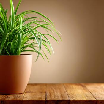 Vibrant green plant in simple pot on wooden table against soft background photo