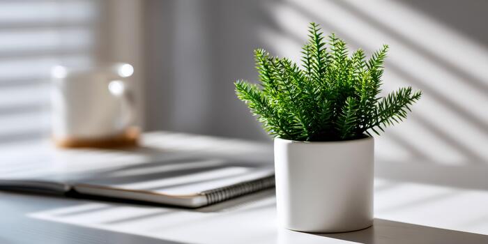 verde planta en un blanco maceta en un mesa con oscuridad en un brillante habitación foto