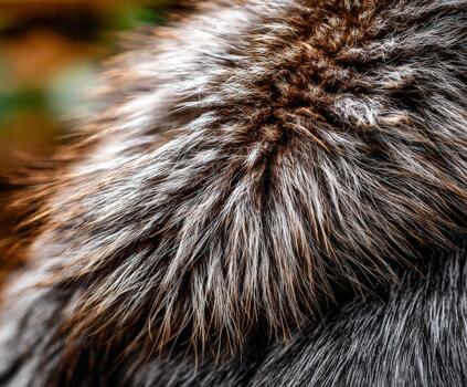 Close-up of soft fur with a rich texture and intricate detail in natural light photo