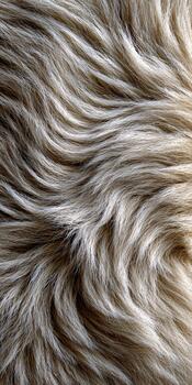 Soft, wavy fur texture showing natural patterns in light and shade photo